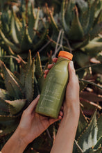 Load image into Gallery viewer, Aloe Ferox Juice, Whole Aloe Ferox Juice, Cape Aloe Juice