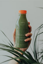 Load image into Gallery viewer, Aloe Ferox Juice, Whole Aloe Ferox Juice, Cape Aloe Juice